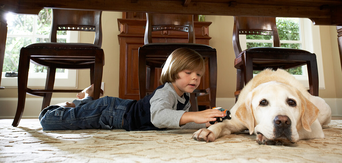 young child laying on the floor in front of three chairs rolling toy car on dog's paw